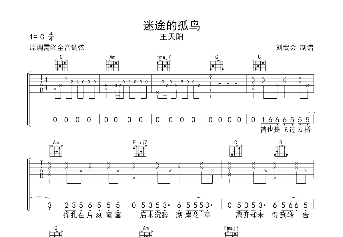 迷途的孤鸟吉他谱预览图