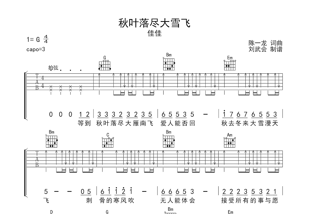 秋叶落尽大雪飞吉他谱预览图