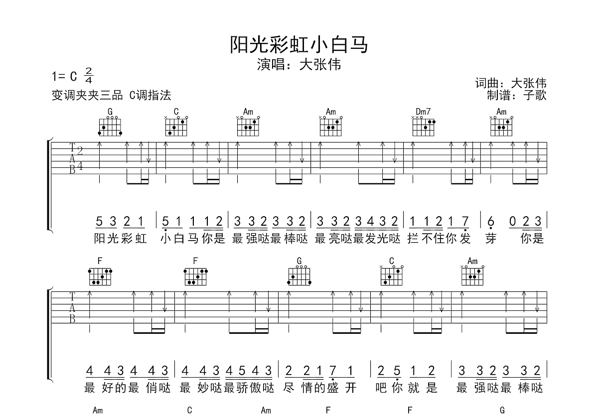 阳光彩虹小白马吉他谱预览图