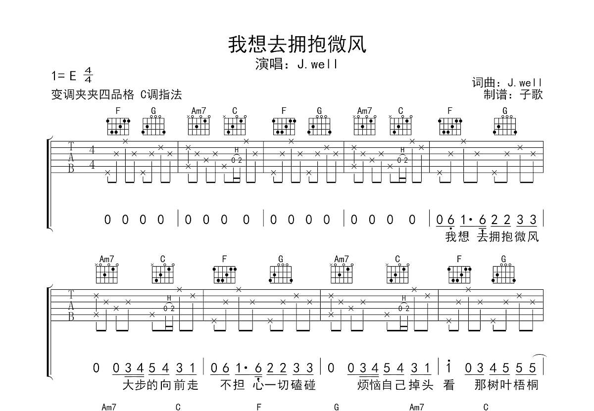 我想去拥抱微风吉他谱预览图