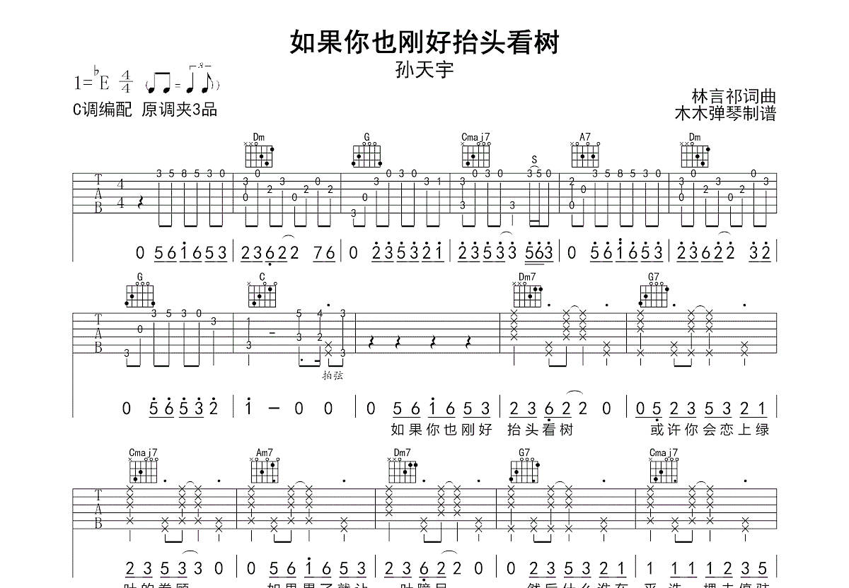 如果你也刚好抬头看树吉他谱_孙天宇_C调弹唱