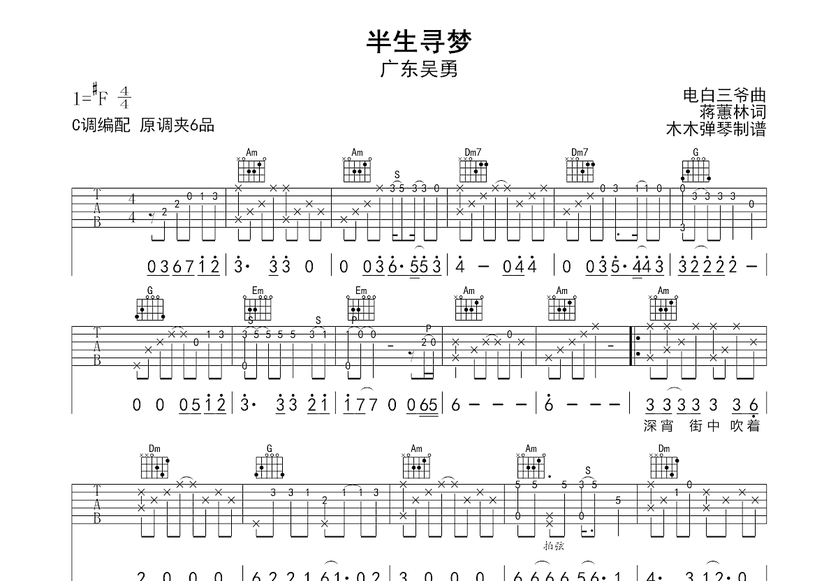 半生寻梦吉他谱预览图