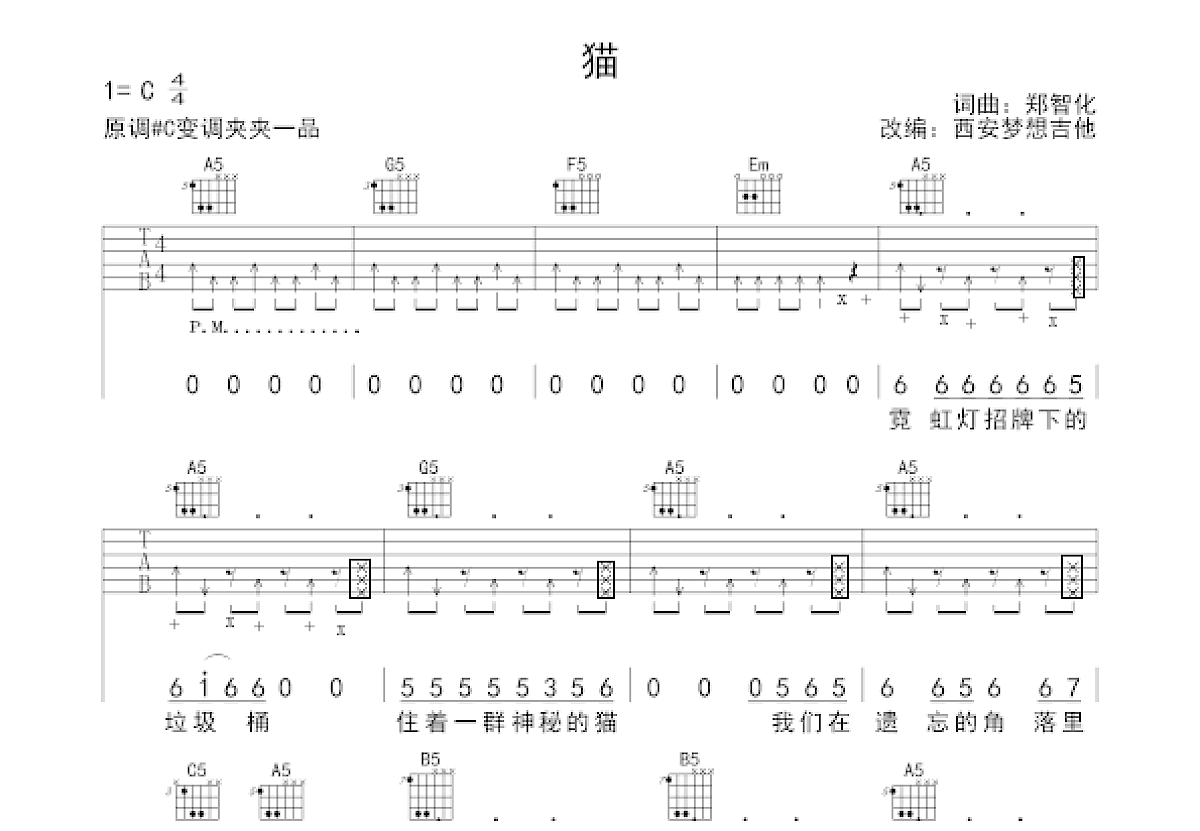 猫吉他谱预览图