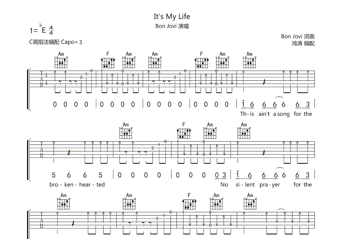It's My Life吉他谱预览图