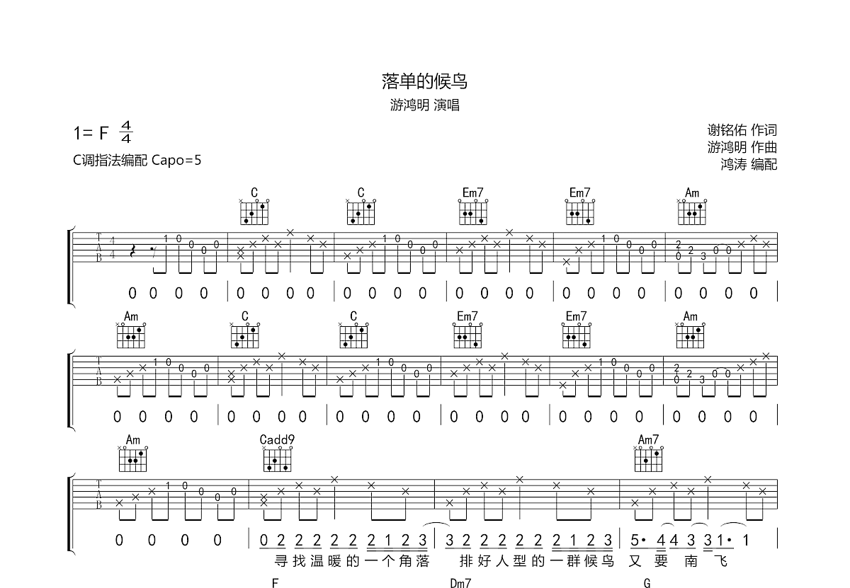 落单的候鸟吉他谱预览图