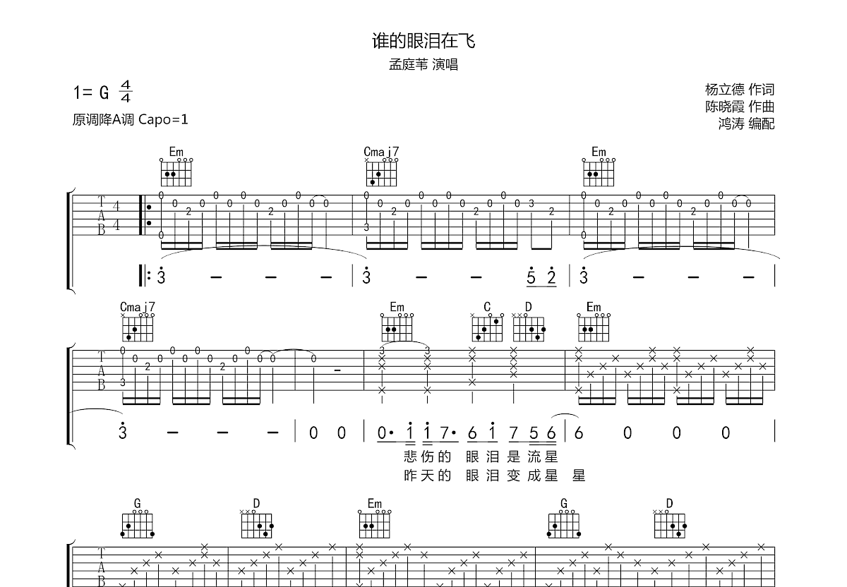 谁的眼泪在飞吉他谱预览图