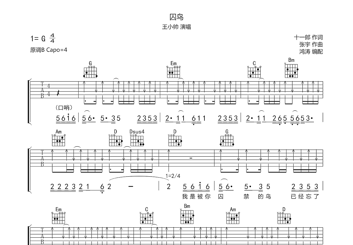 囚鸟吉他谱王小帅图片