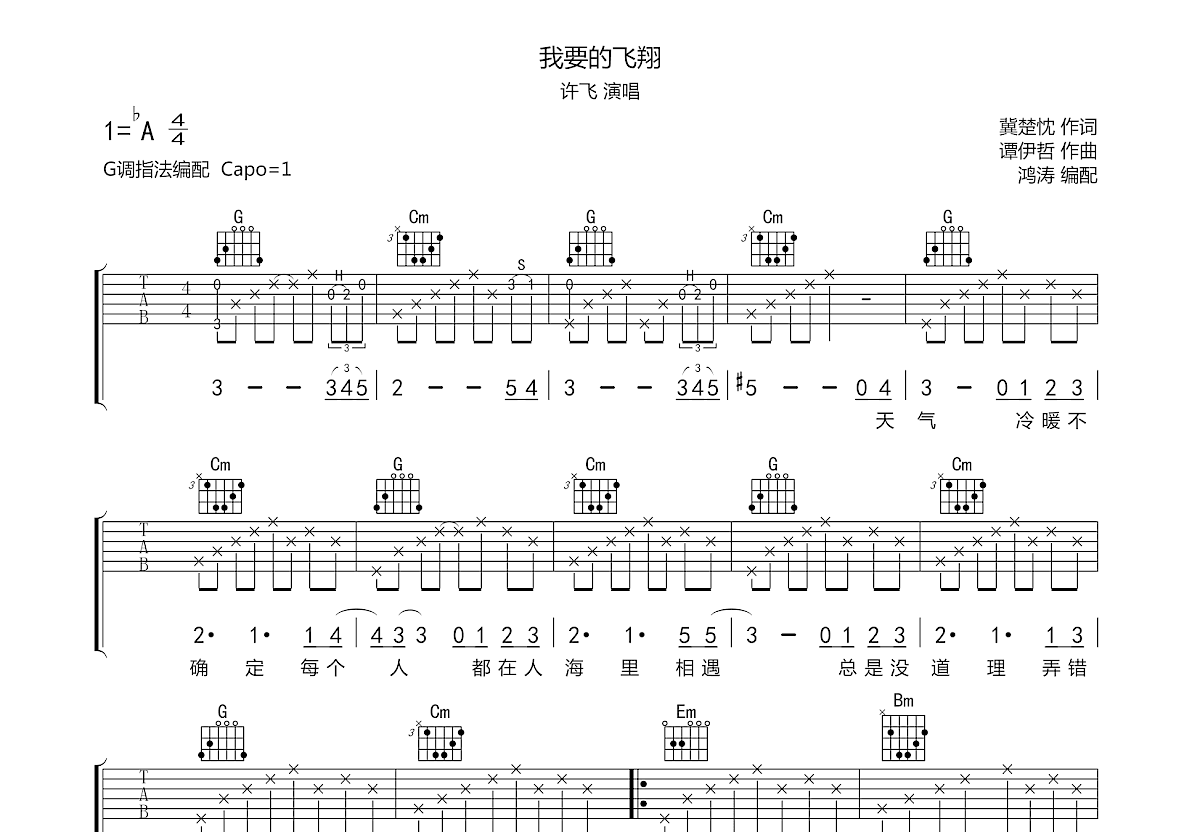 我要的飞翔吉他谱预览图