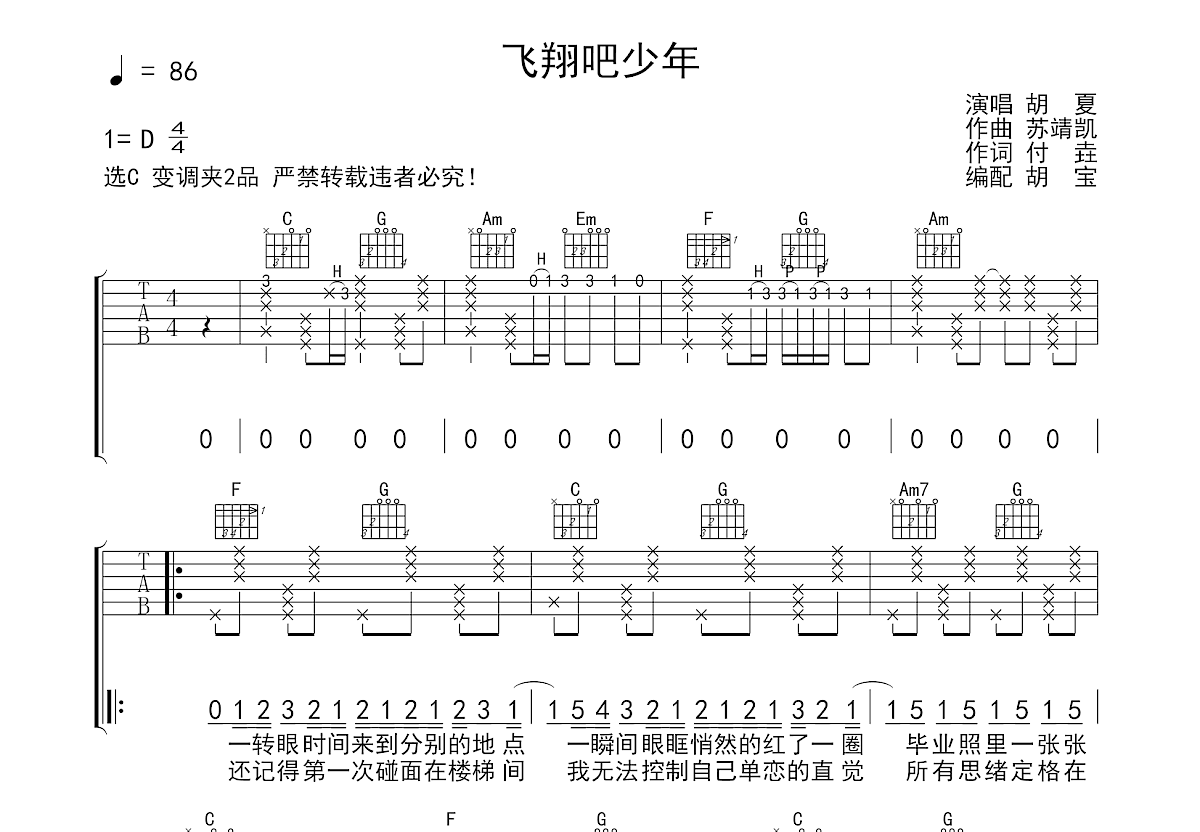 飞翔吧少年吉他谱预览图