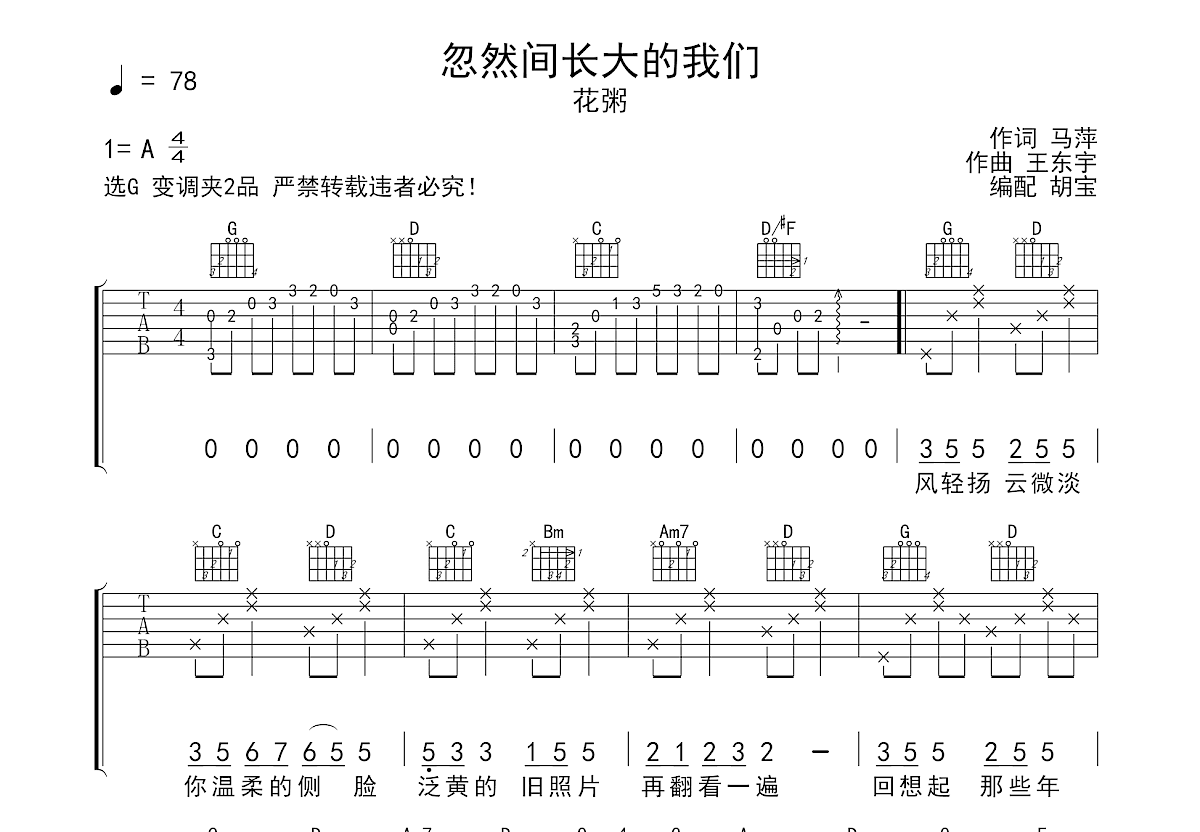 忽然间长大的我们吉他谱预览图
