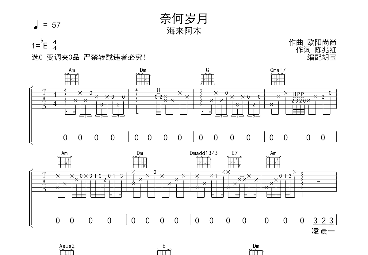 奈何岁月吉他谱预览图