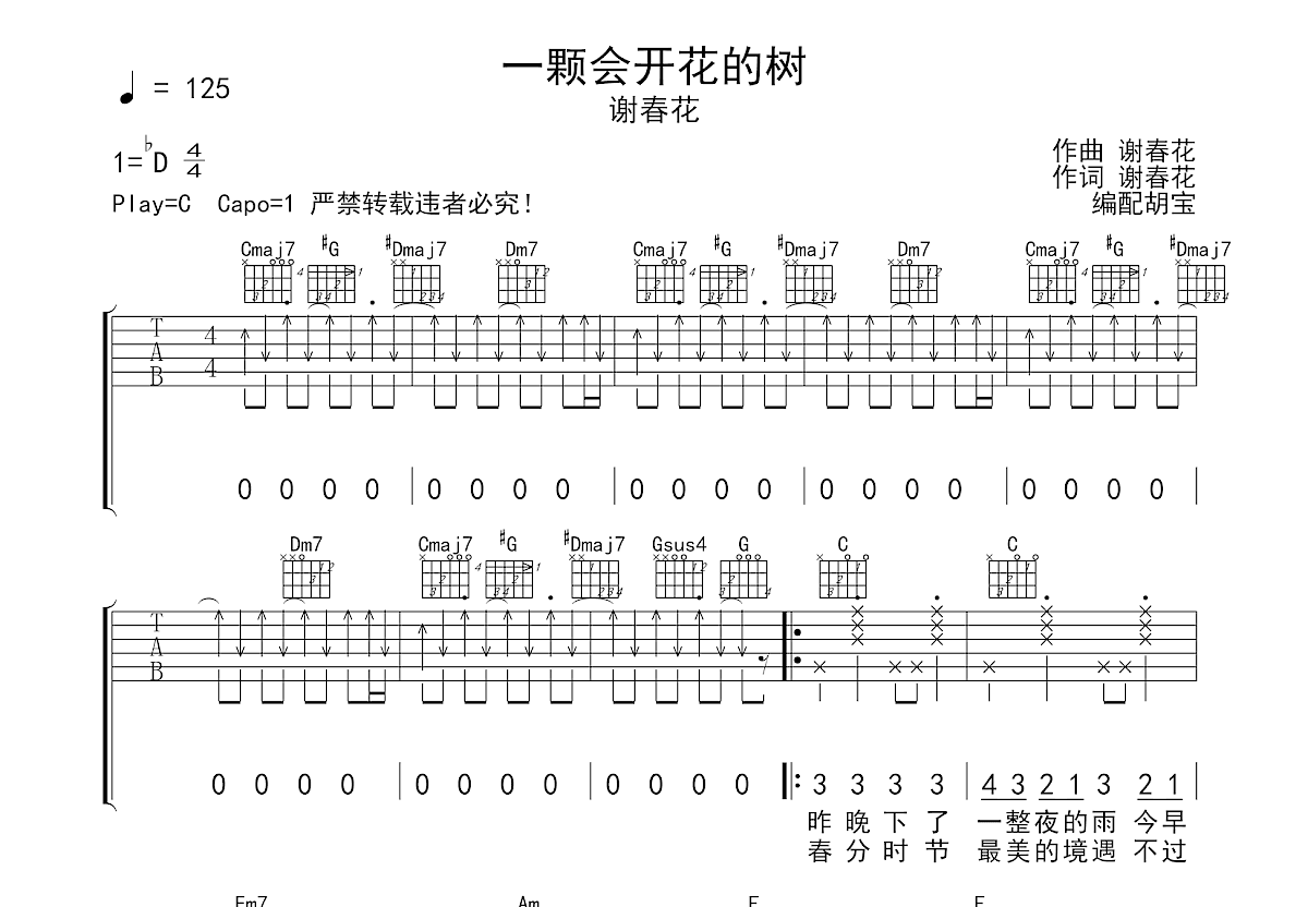 一颗会开花的树吉他谱预览图