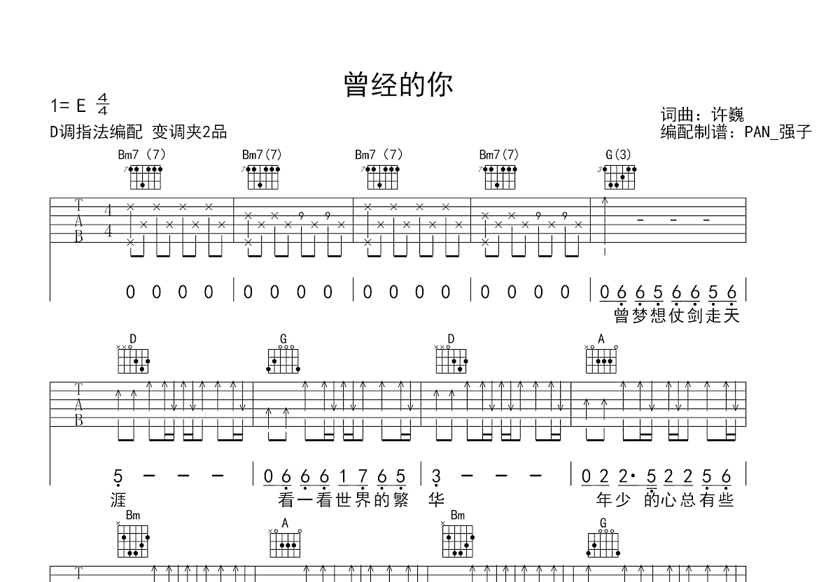 曾经的你吉他谱_许巍_D调弹唱