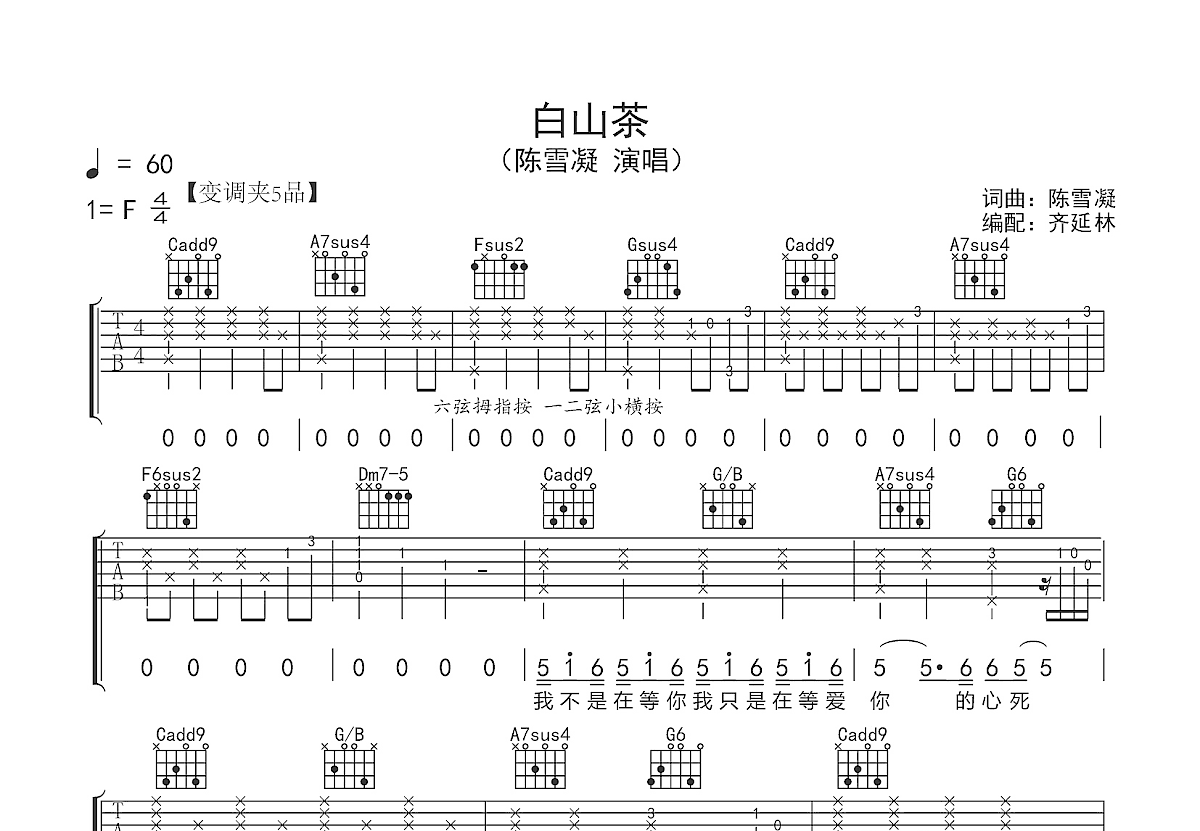 白山茶吉他谱预览图