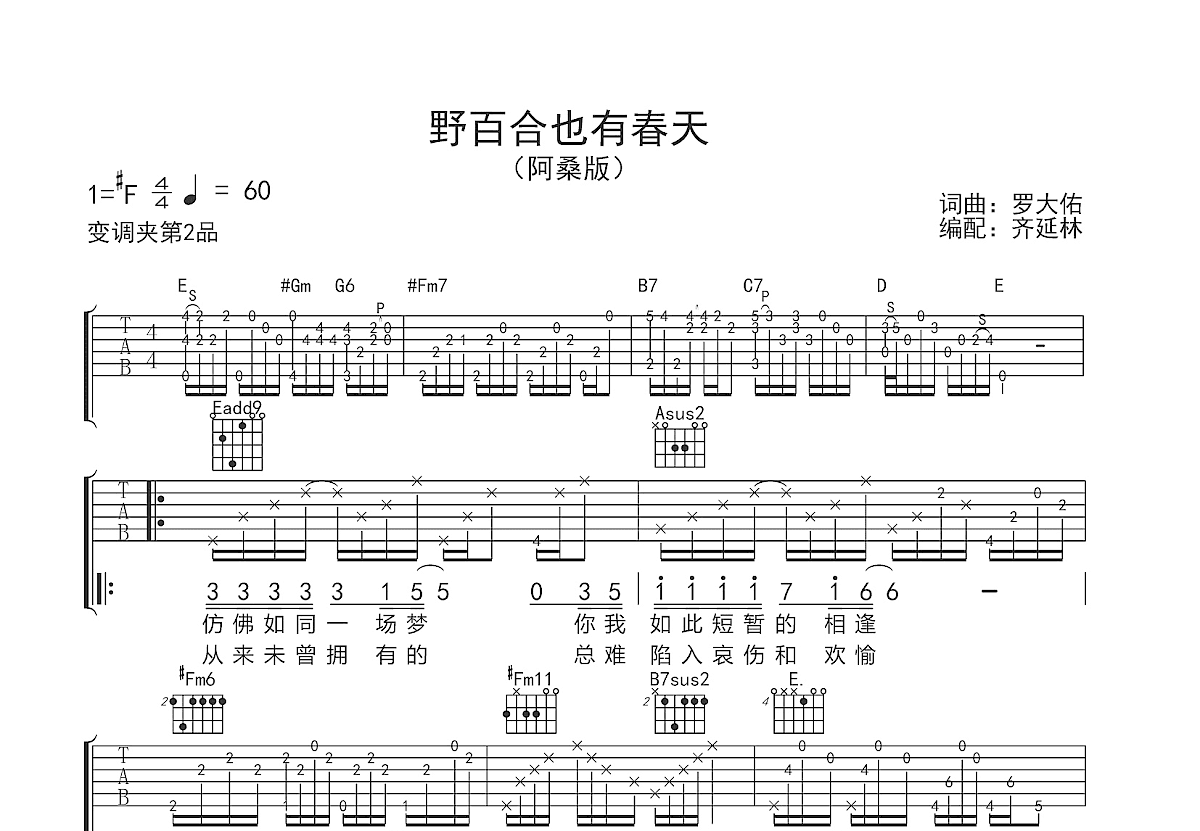 野百合也有春天吉他谱预览图