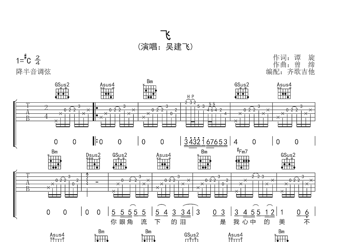 飞吉他谱预览图