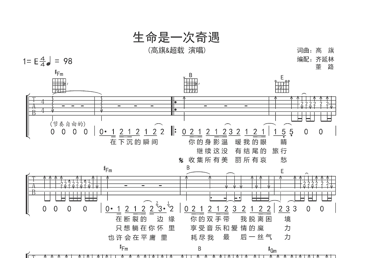 生命是一次奇遇吉他谱预览图