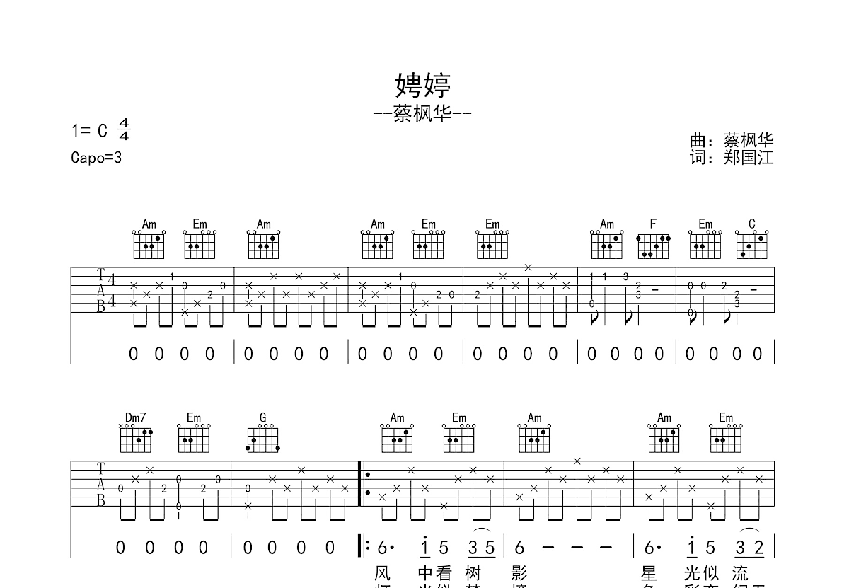 娉婷吉他谱预览图