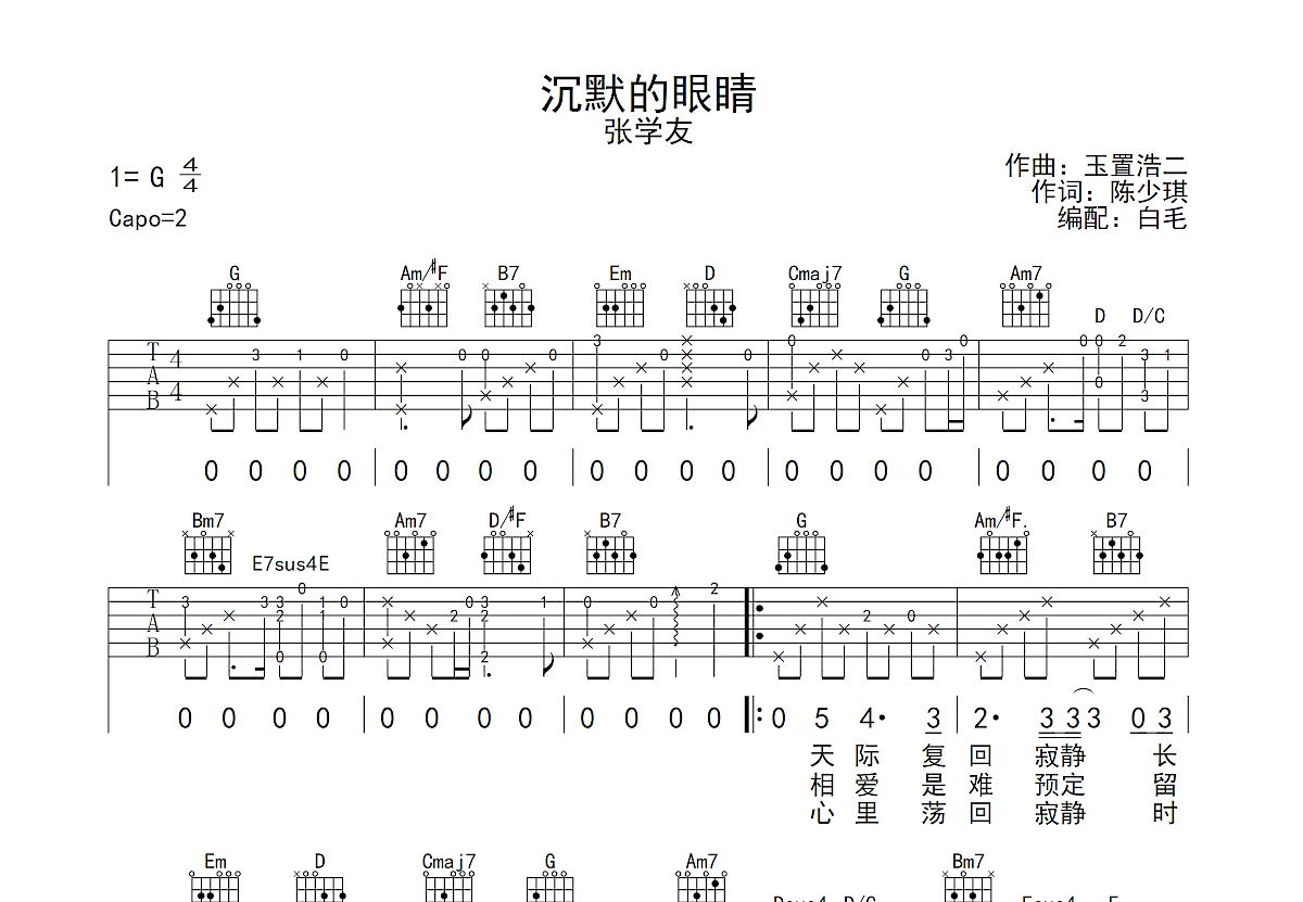 沉默的眼睛吉他谱预览图