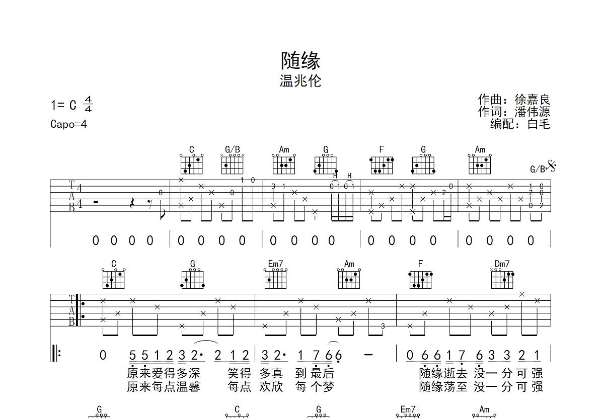 随缘吉他谱预览图