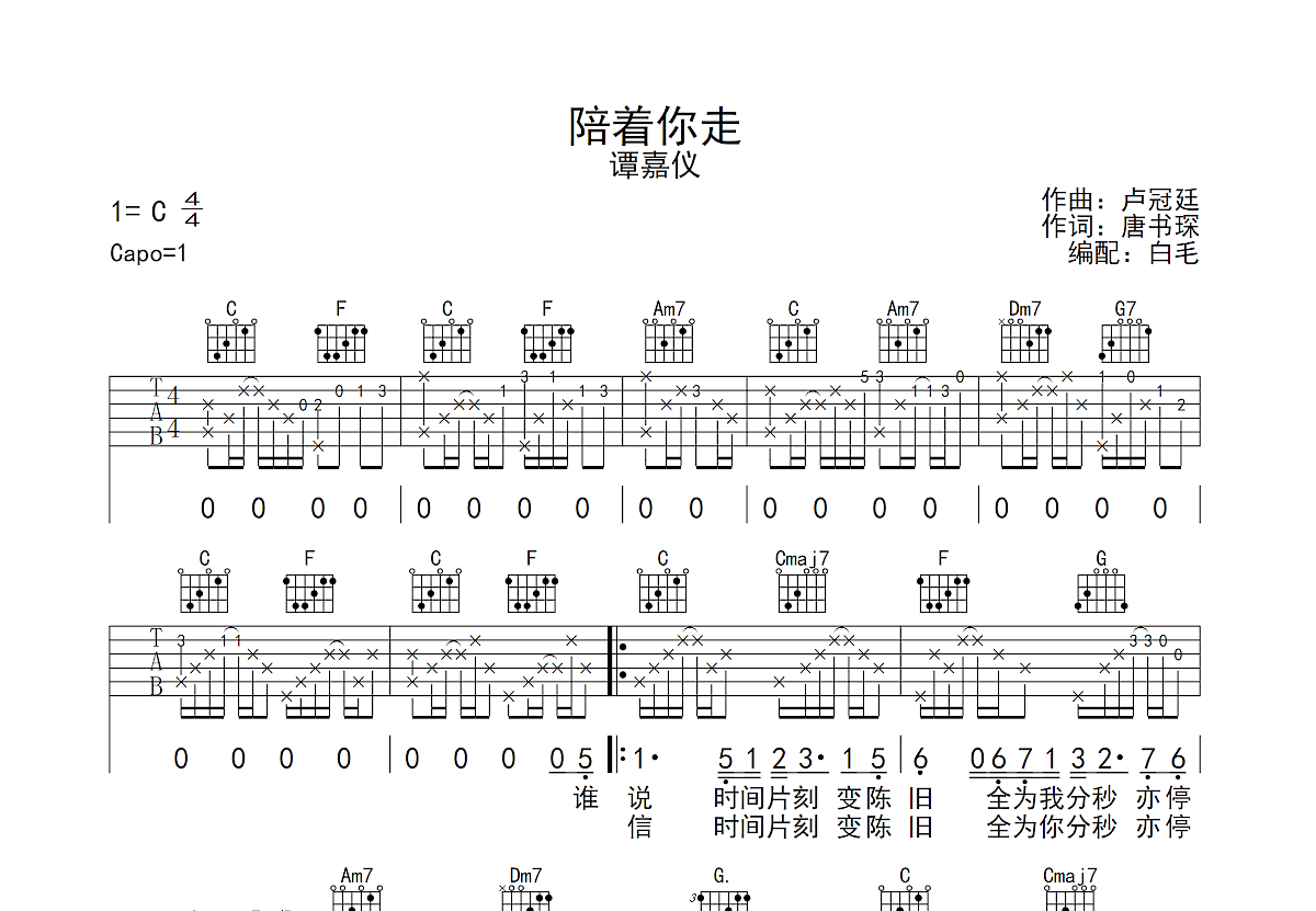 陪着你走吉他谱预览图