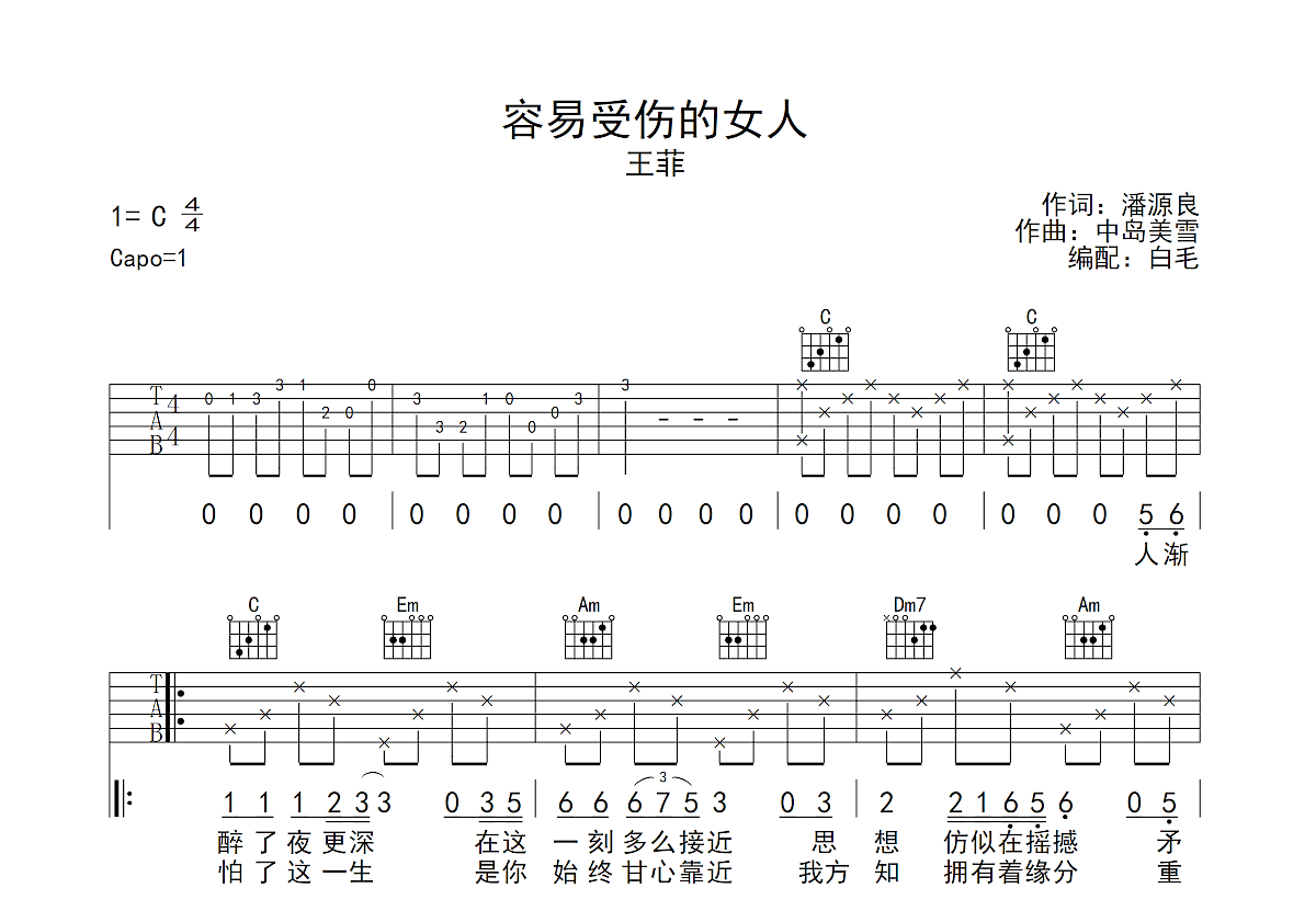 容易受伤的女人吉他谱预览图