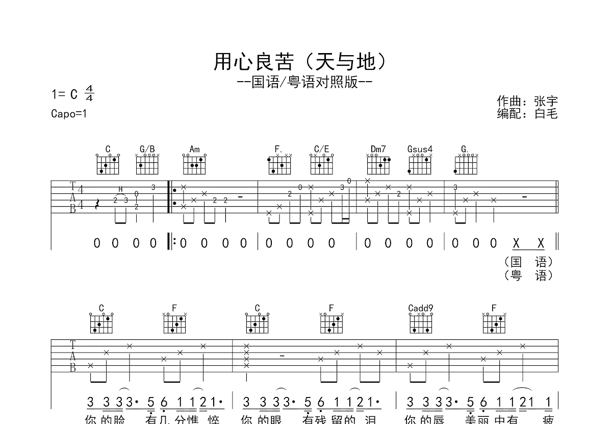 用心良苦+天与地吉他谱_张宇,王菲_C调弹唱