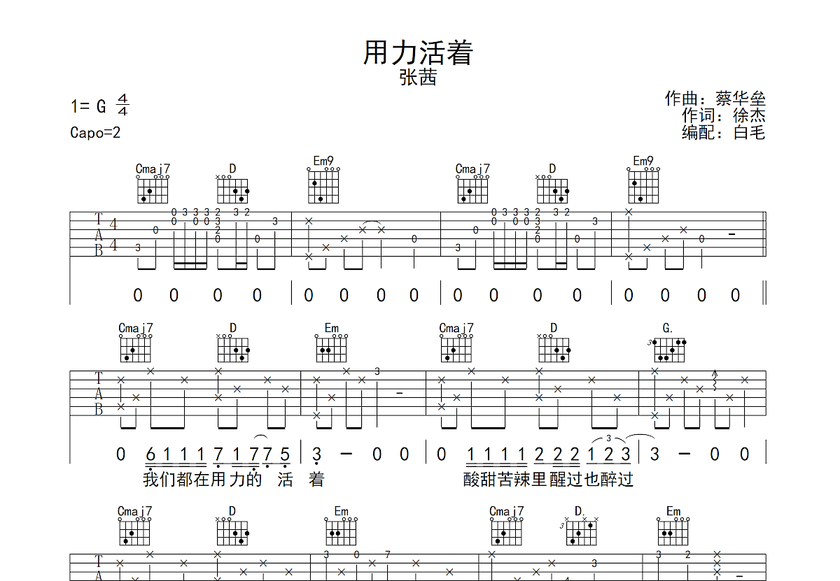 用力活着吉他谱预览图