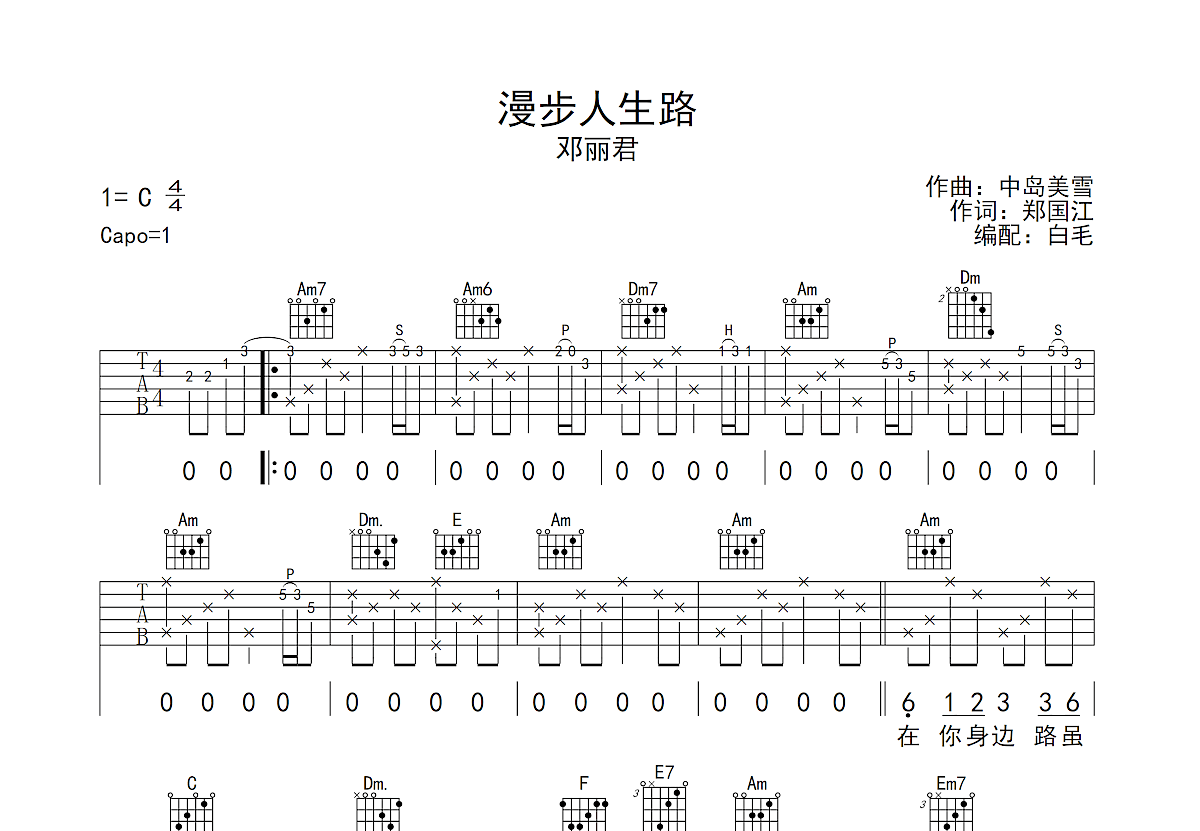 漫步人生路吉他谱预览图