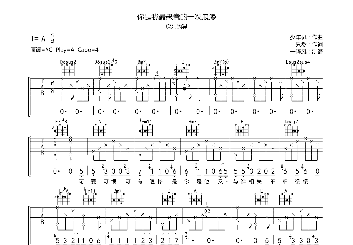 你是我最愚蠢的一次浪漫吉他谱预览图