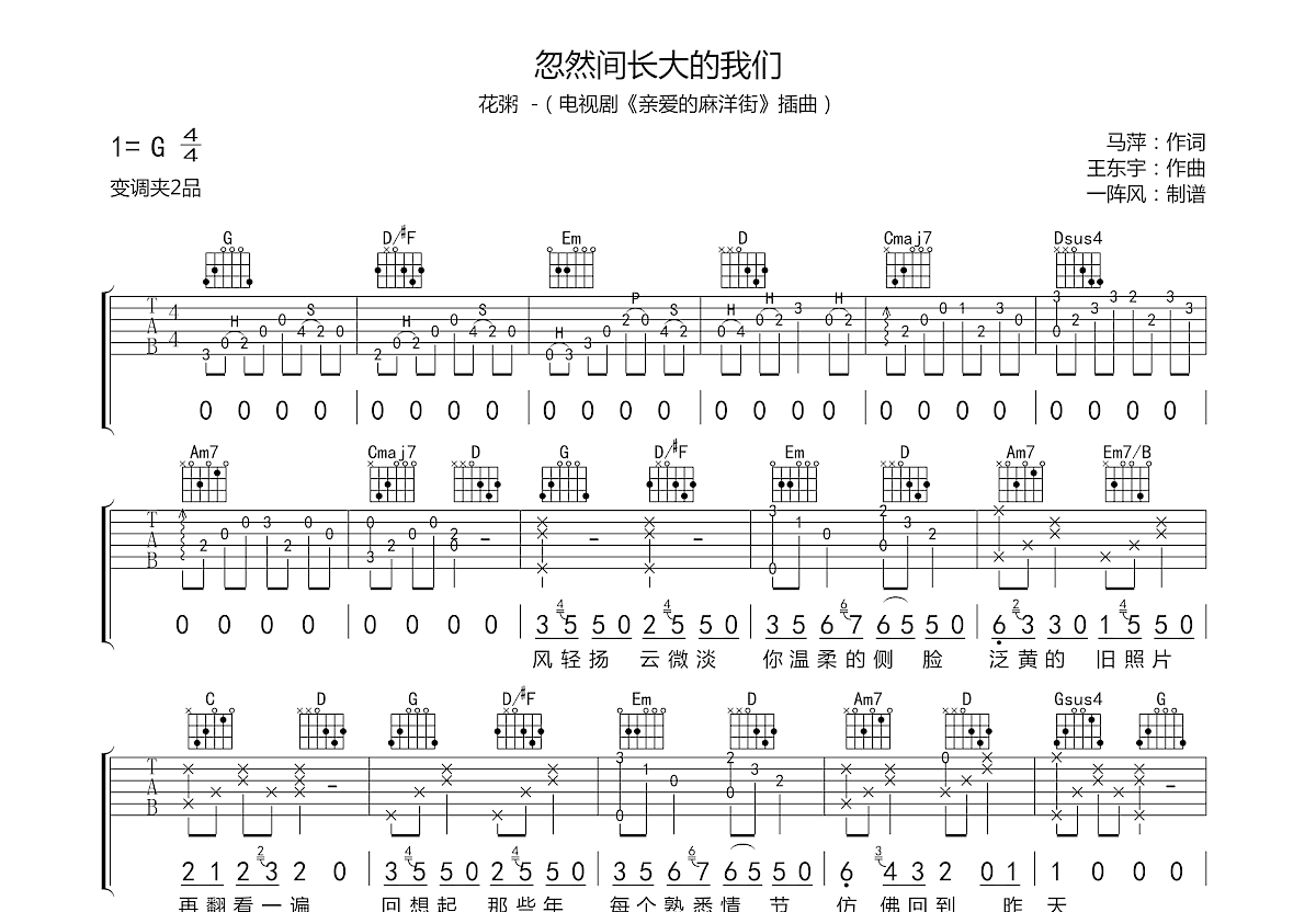 忽然间长大的我们吉他谱预览图