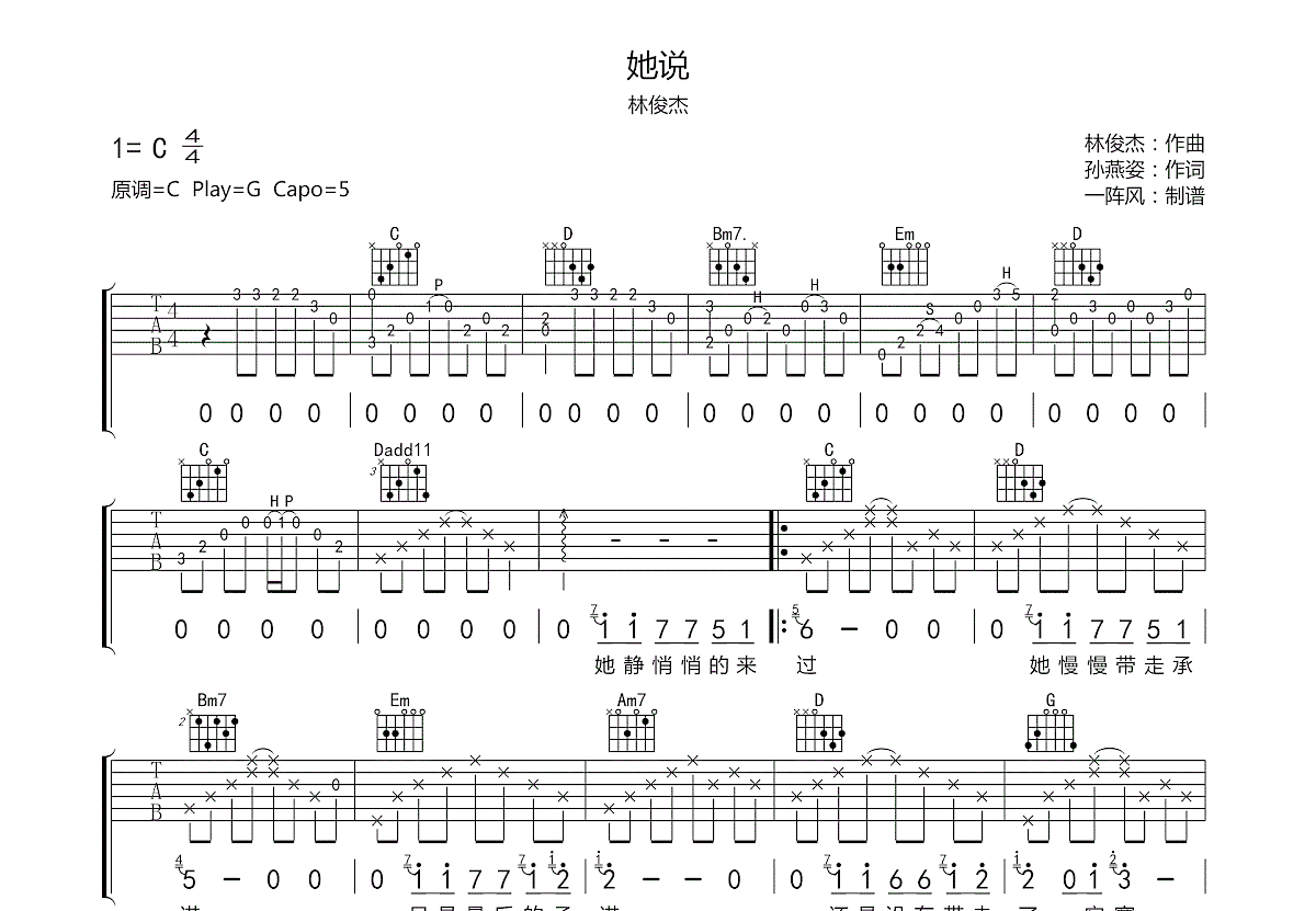 她说吉他谱预览图