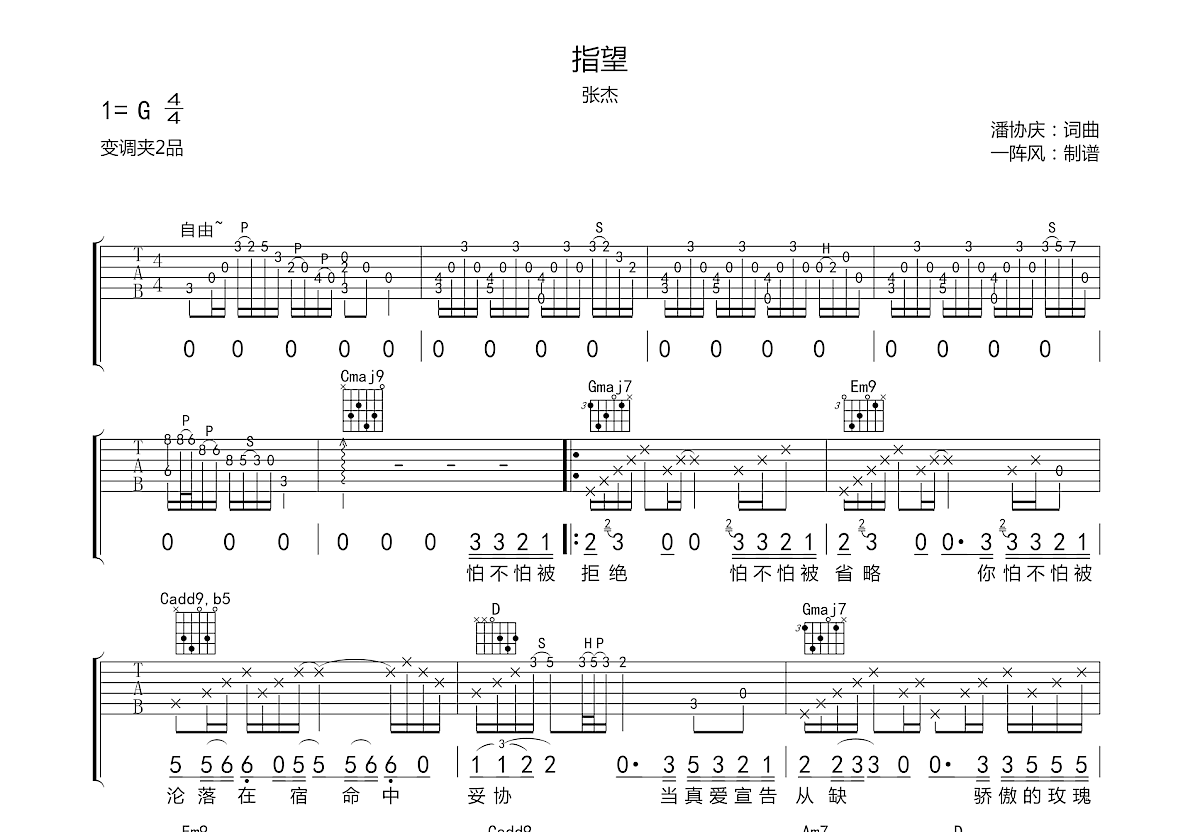指望吉他谱预览图