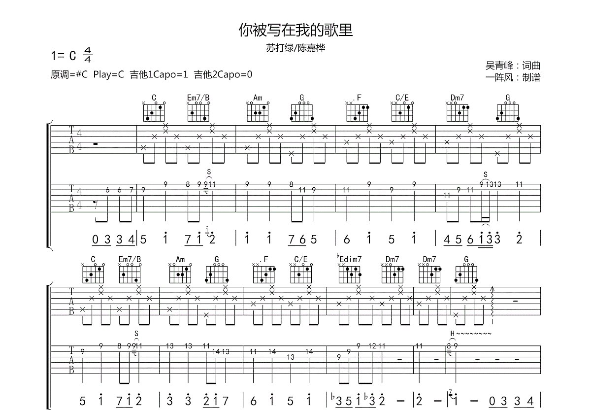 你被写在我的歌里吉他谱预览图