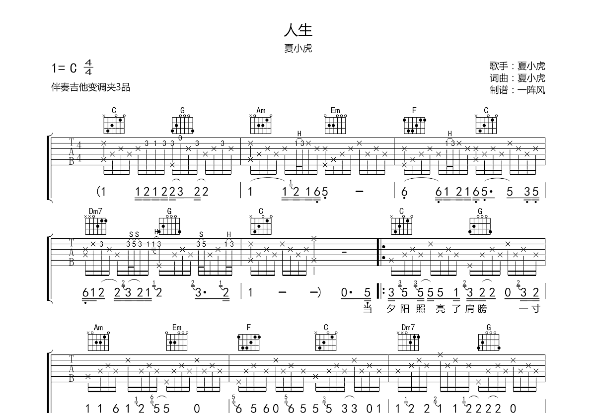 人生吉他谱预览图