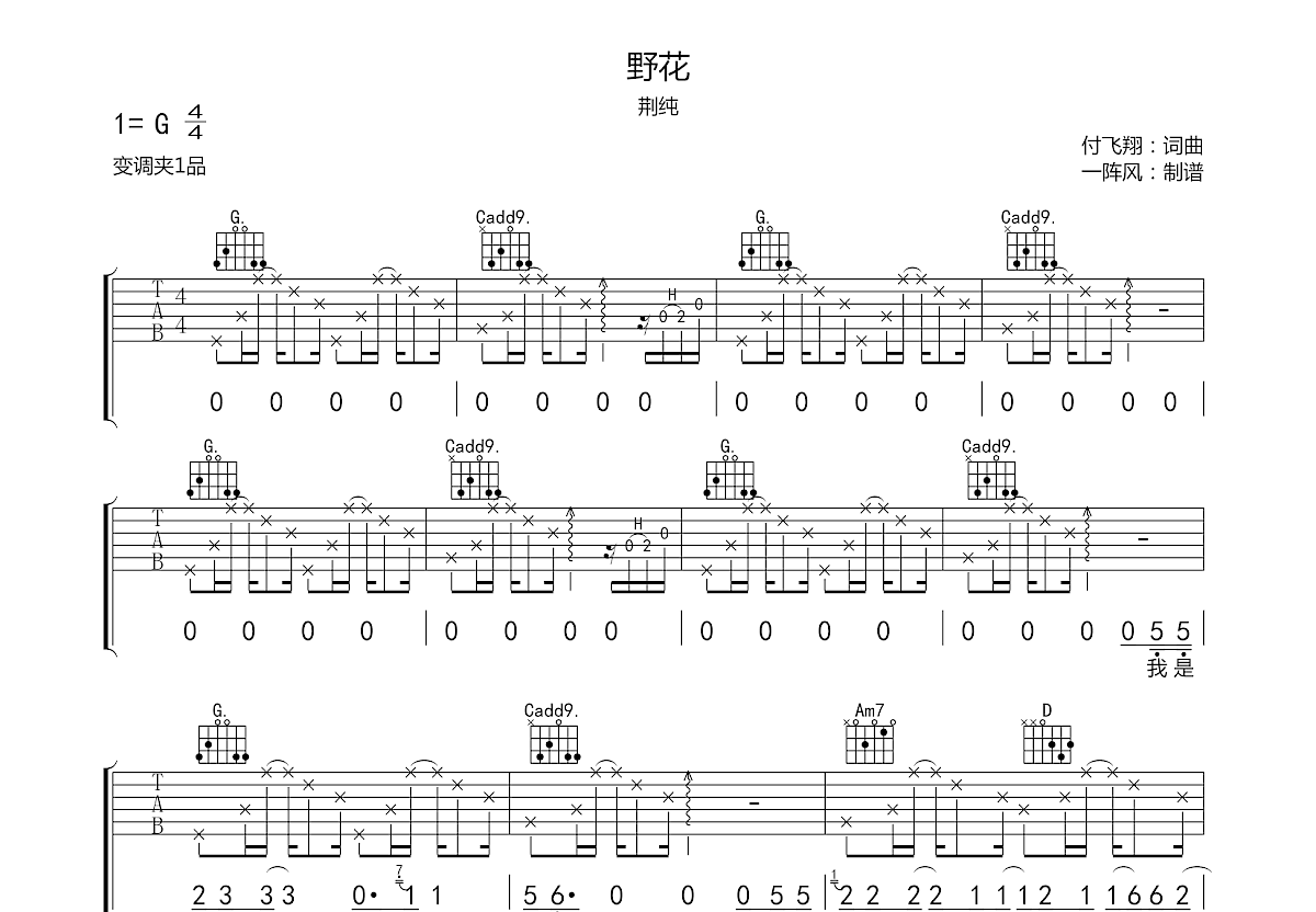 野花吉他谱预览图