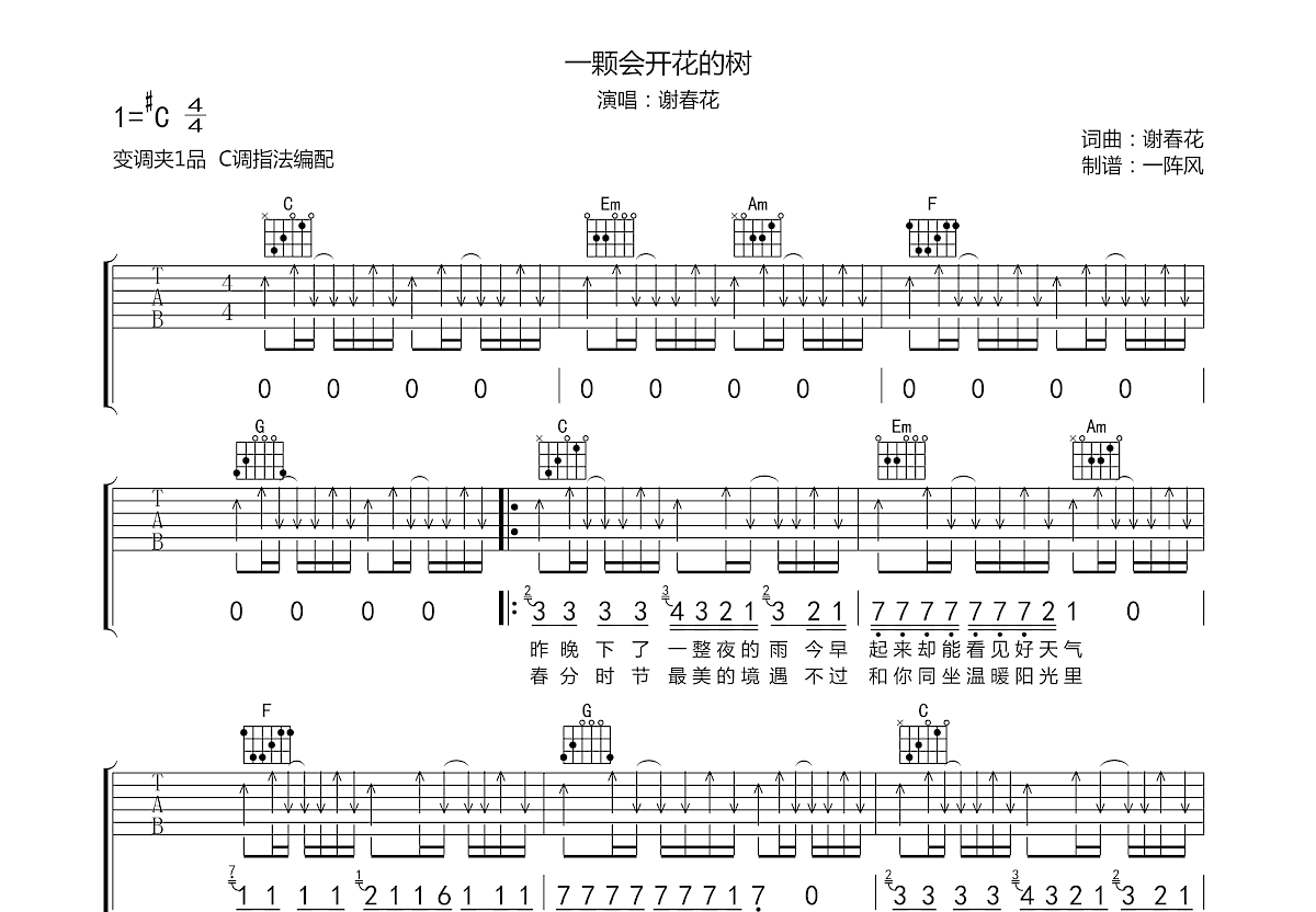 一颗会开花的树吉他谱预览图