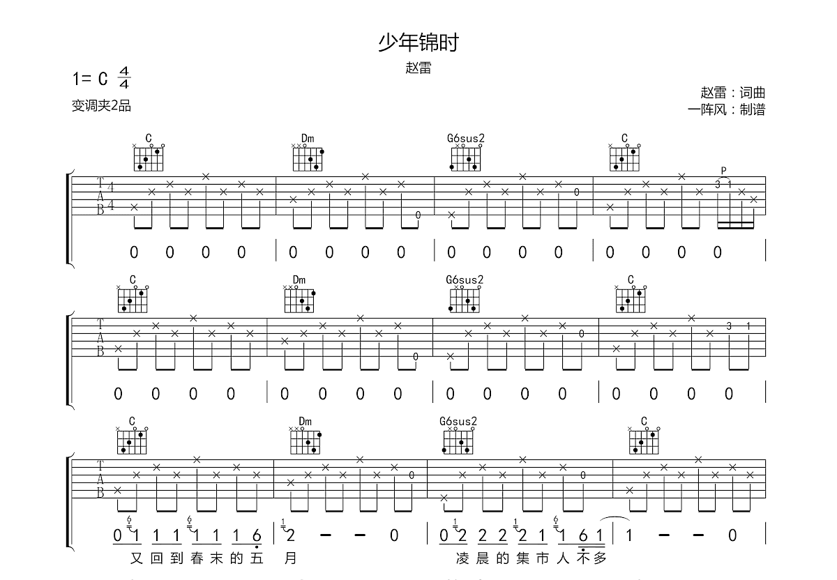 少年锦时吉他谱预览图