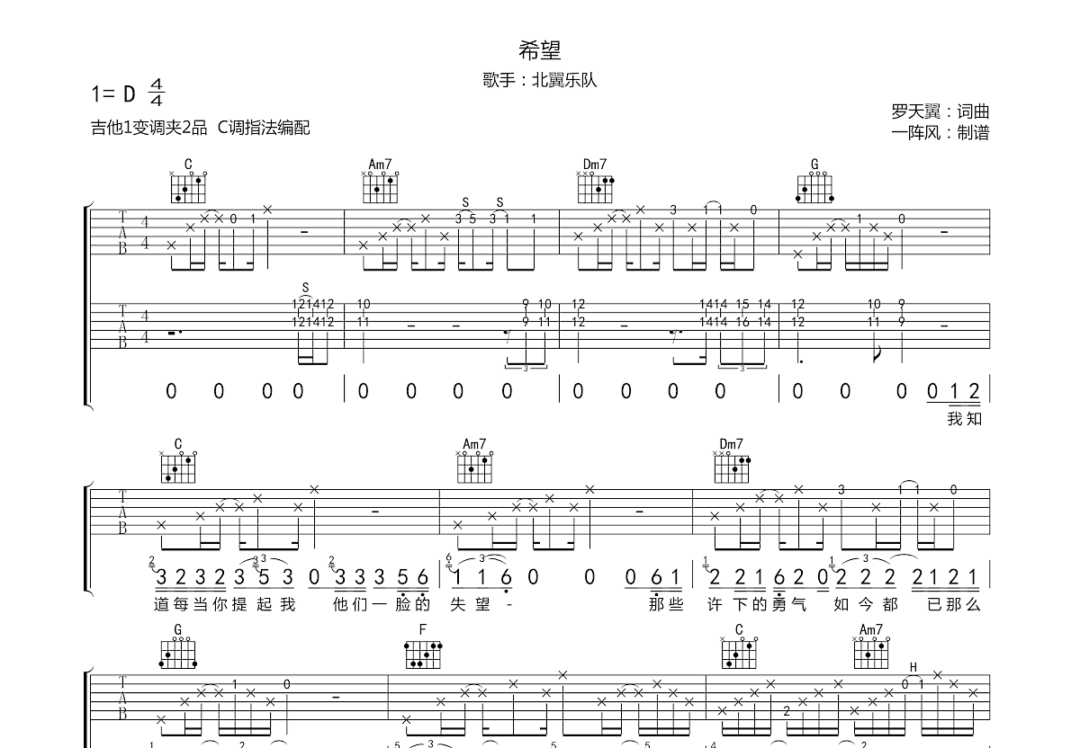 希望吉他谱预览图