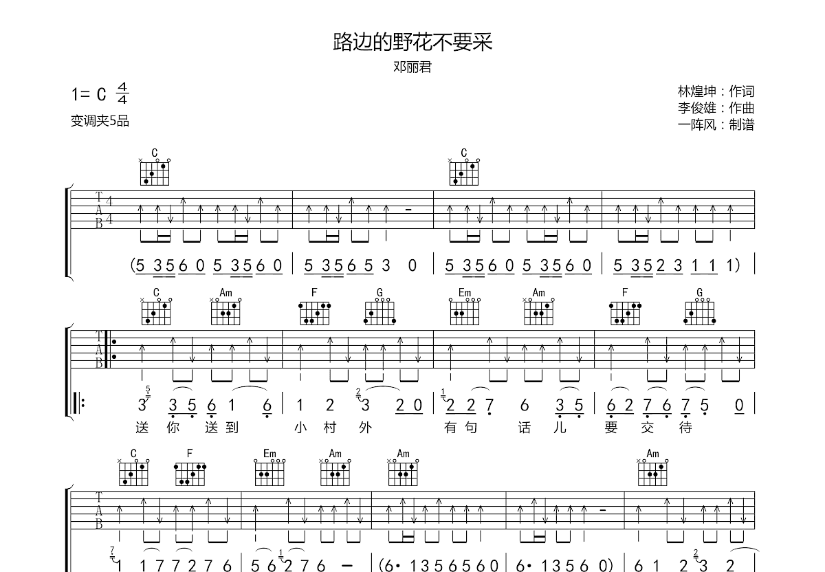 路边的野花不要采吉他谱预览图