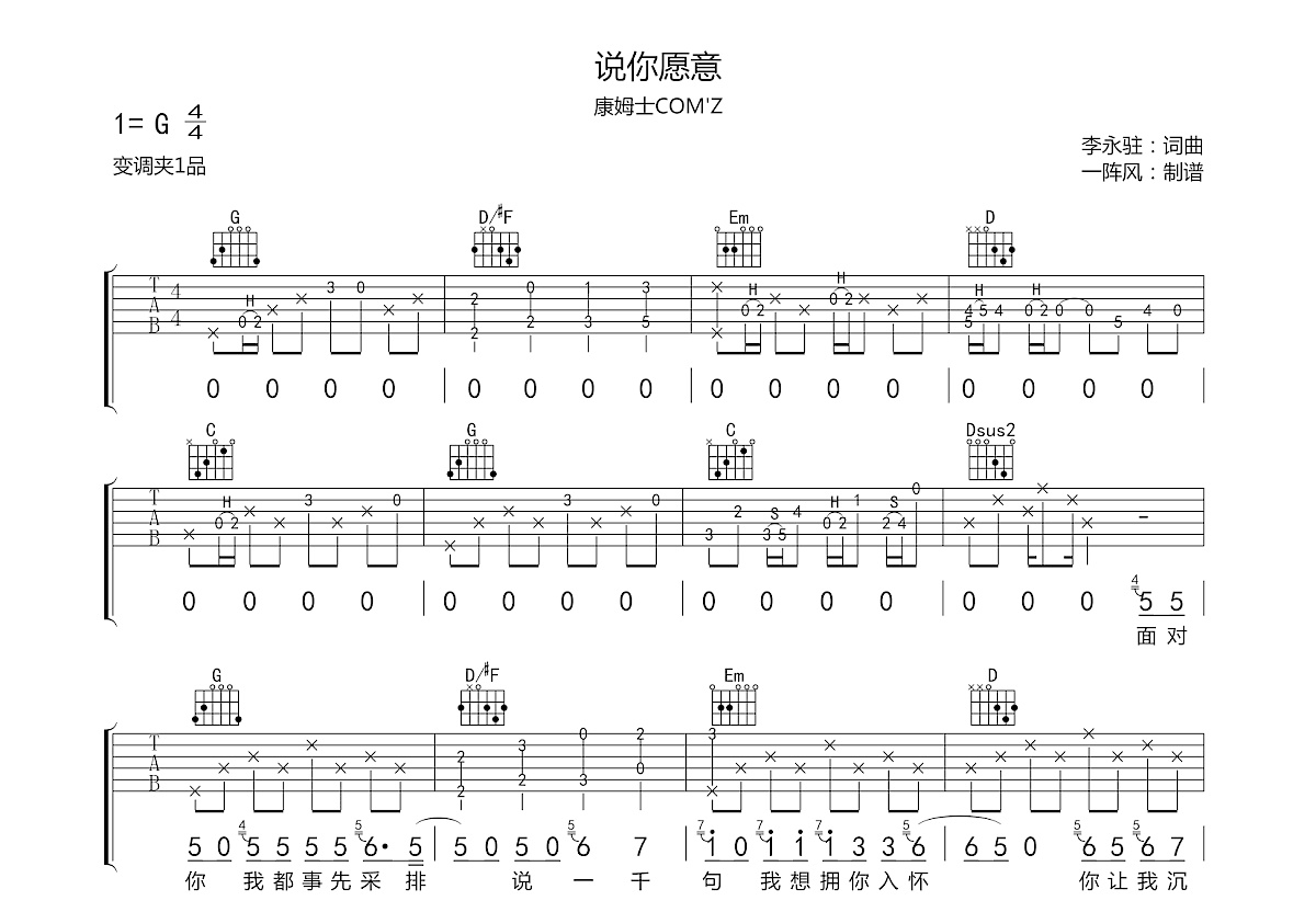 说你愿意吉他谱预览图