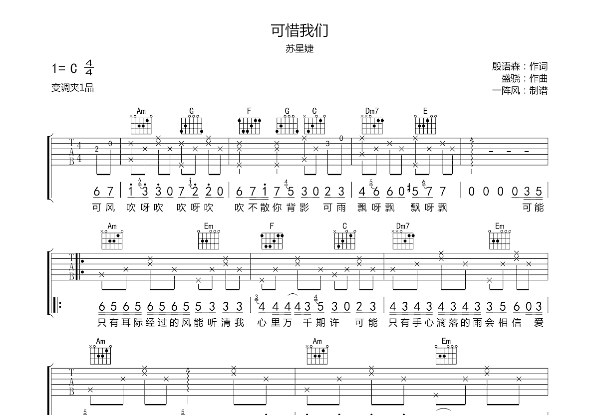 可惜我们吉他谱预览图