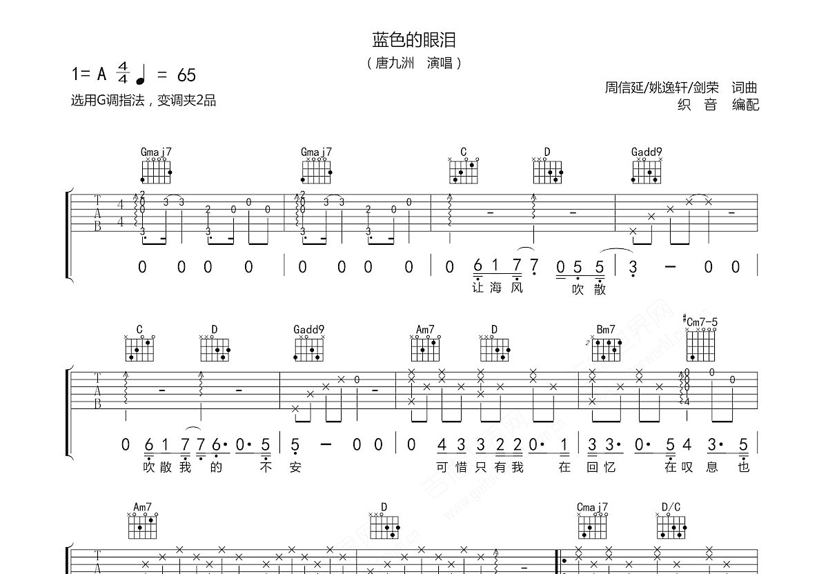 蓝色的眼泪吉他谱预览图