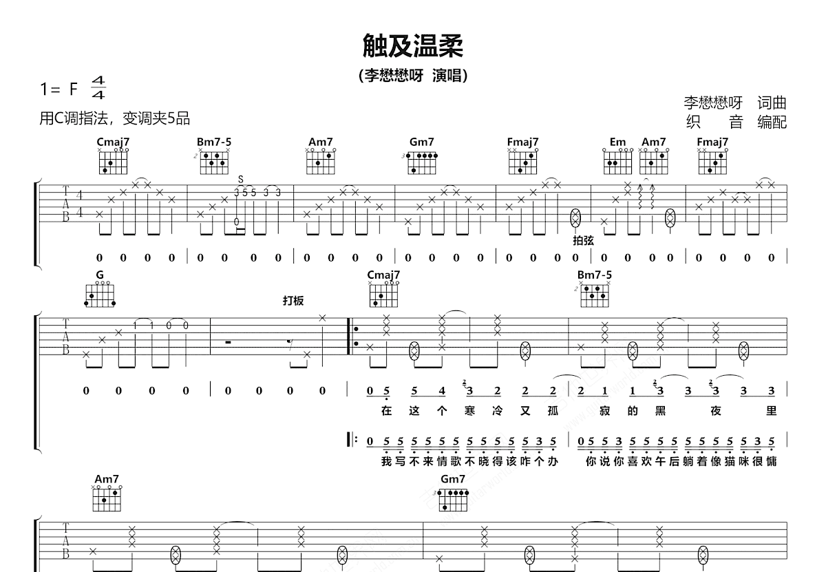 触及温柔吉他谱预览图