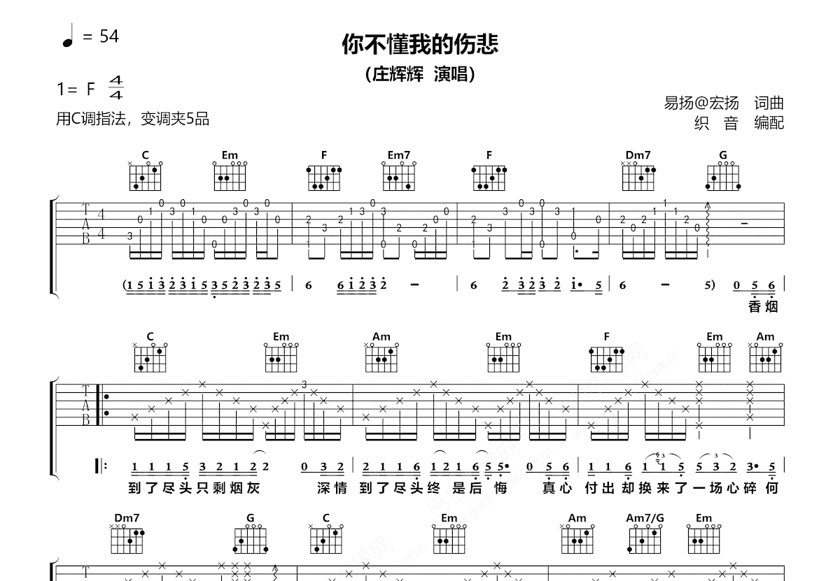 你不懂我的伤悲吉他谱_庄辉辉_C调弹唱