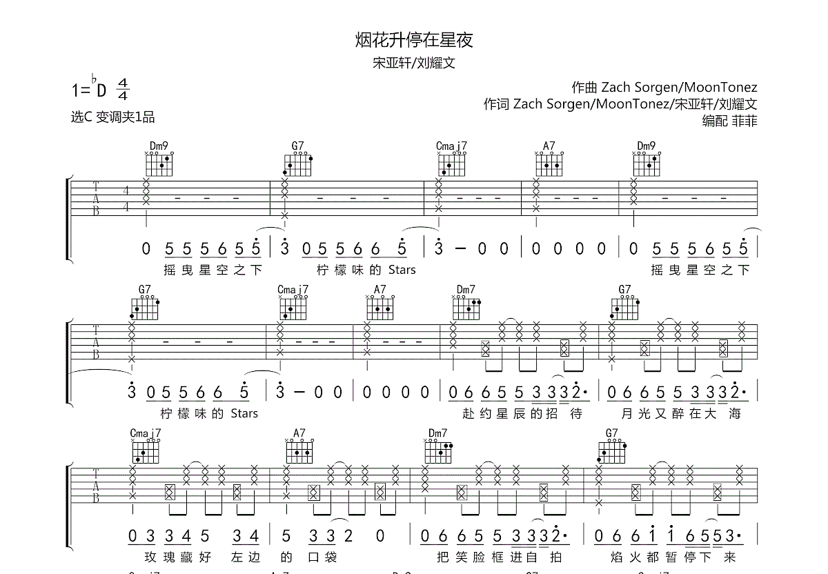 烟花升停在星夜吉他谱预览图