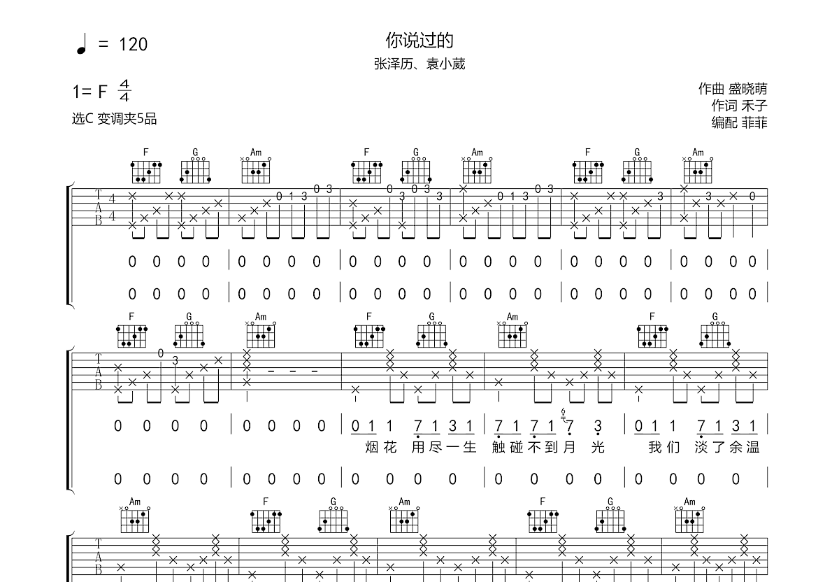 你说过的吉他谱预览图