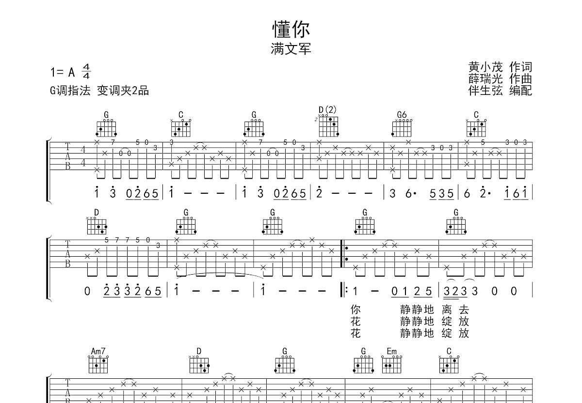 懂你吉他谱预览图