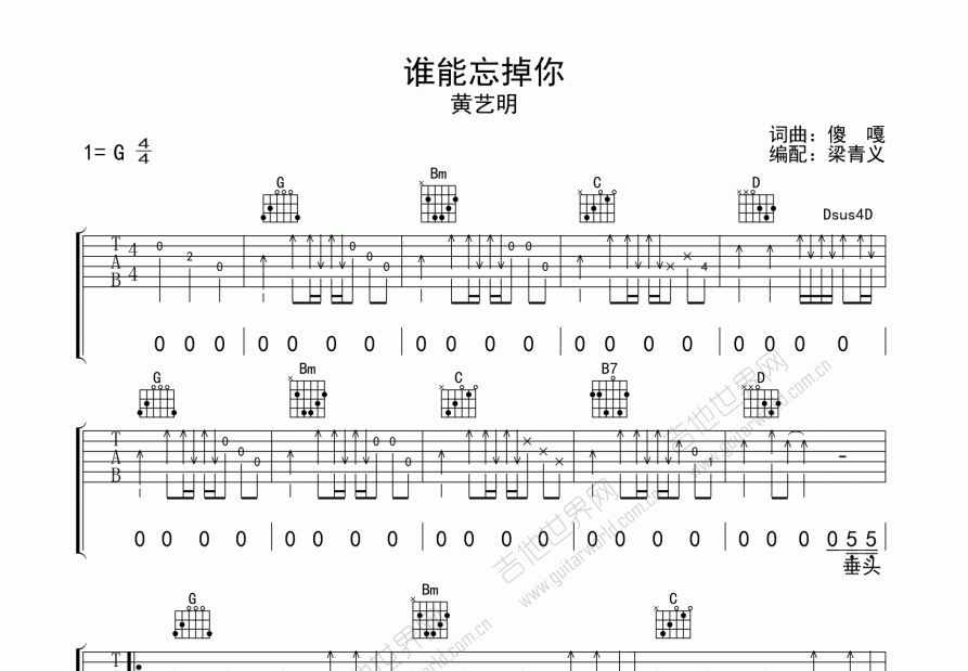 谁能忘掉你吉他谱预览图