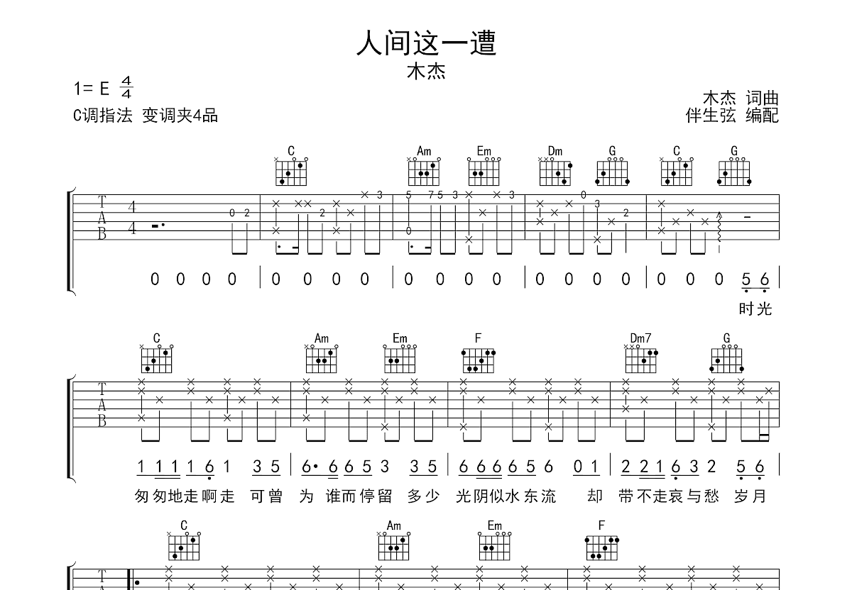 人间这一遭吉他谱预览图